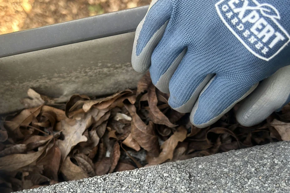 Gutter Cleaning Harahan